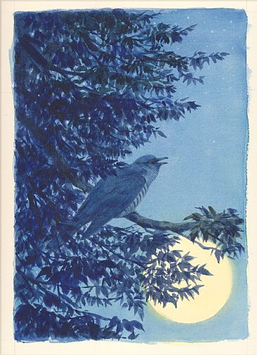 Moon Song - Oriental Cockoo by Eriko Kobayashi