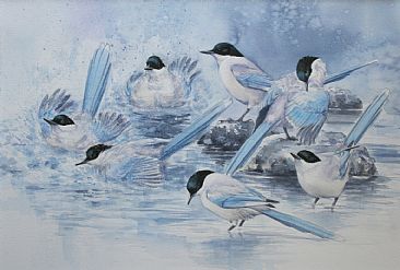 Bath Time - Azure-winged Magpie by Eriko Kobayashi
