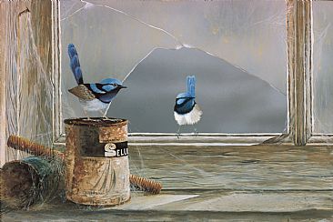 Broken Window - Blue Wrens by Barry Ingham