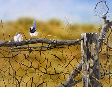 Who's That Dear - Blue Wrens  by Barry Ingham