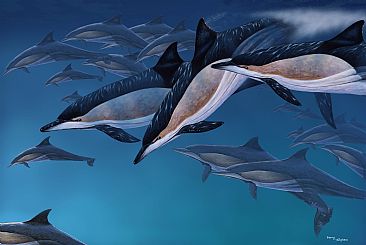 School's Out - Common Dolphins by Barry Ingham