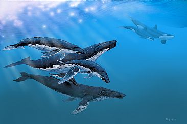 Wildplaces (Protecting their young) - Humpback whales by Barry Ingham