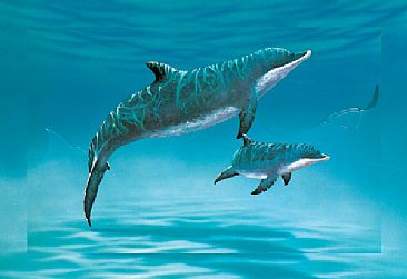 Bottlenose Dolphins - Bottlenose Dolphin and Calf by Barry Ingham