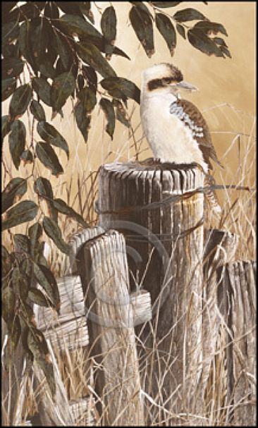 On The Lookout - Kookaburra by Barry Ingham