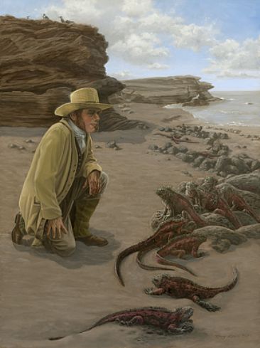 Charles Darwin In the Galapagos, 1835 - Darwin and the Galapagos marine iguana by Mary Louise Holt