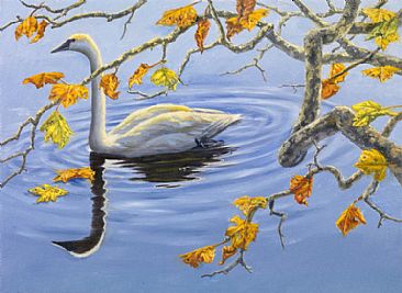 Grace Under Fire - Trumpeter swan and sycamore tree branch by Mary Louise Holt
