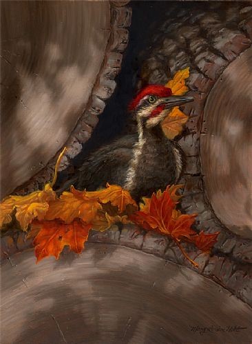 The Persistence of Pileateds - Pileated woodpecker and autumn leaves by Mary Louise Holt