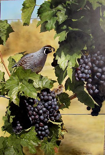 Vineyard Watch (SOLD) - Calliope Hummingbird by Julia Hargreaves