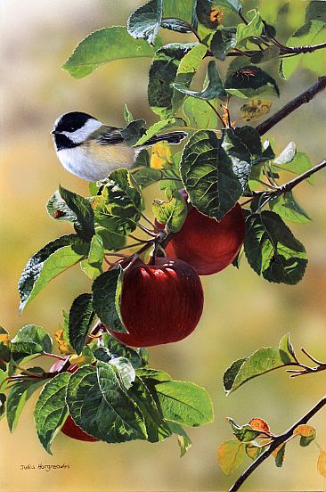 Fall Apples (SOLD) - Chickadee by Julia Hargreaves