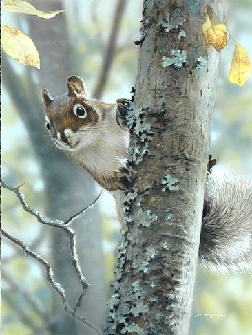 Fall Guy (SOLD) - Squirrel by Julia Hargreaves