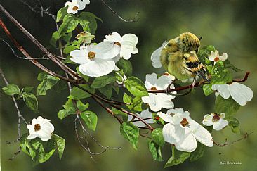 Spring Preen - American goldfinch (female) by Julia Hargreaves