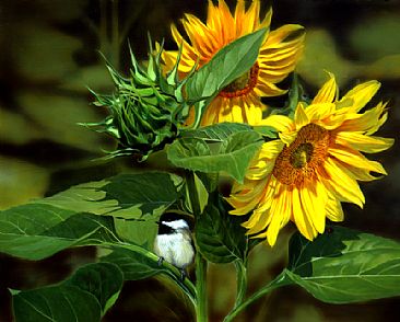 Sunflowers & Chickadee (SOLD) - Chickadee by Julia Hargreaves