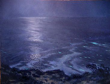 Bioluminescence - Nocturne, Red Tide Bioluminescence by David Gallup