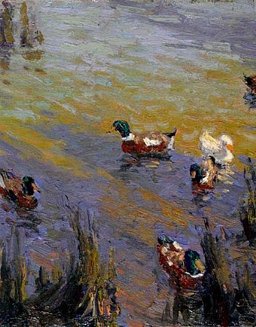 In the Shade of the Willow - Mallards in Brackish Lagoon by David Gallup