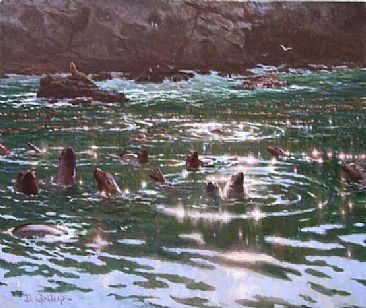 "Liquid Light" - A Colony of Sea Lions, Santa Barbara Island by David Gallup