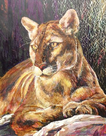 Florida Panther - An adult Florida panther laying in the sun by Sarah Baselici