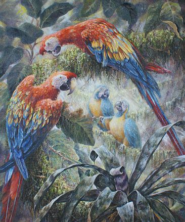 Three Macaws - 2 Scarlet Macaws and 1 Blue-throated Macaw by Sarah Baselici
