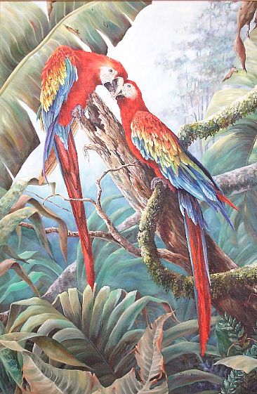 Two Scartlets - Two preening scarlet macaws by Sarah Baselici