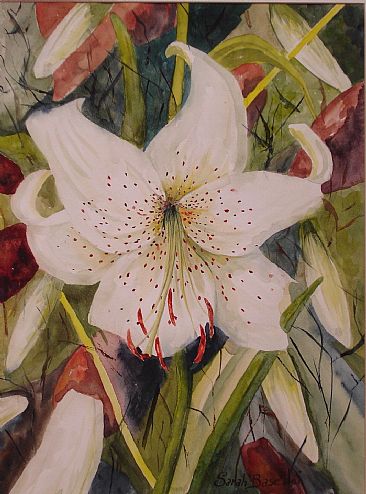 White Lily -  by Sarah Baselici