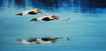 Gliders - African Great white Pelican by Guy Combes