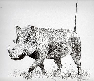Warthog -  by Guy Combes