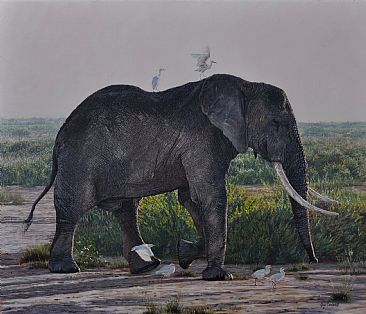 Entourage - Elephant & Egrets by Guy Combes