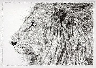 Lion -  by Guy Combes