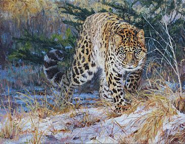 Locked and Loaded - Amur Leopard by Michelle McCune