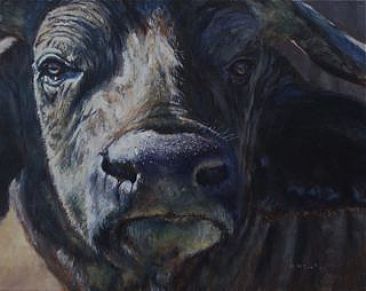 Mbogo - Cae Buffalo by Michelle McCune