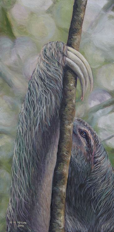 Ascending - Three-toed sloth by Michelle McCune