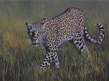 Feline fatale - Leopard on Masaai Mara by Michelle McCune