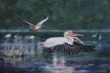 Jewels of Lake Elmentita - European White Pelicans on Lake Elmentita - Kenya by Michelle McCune