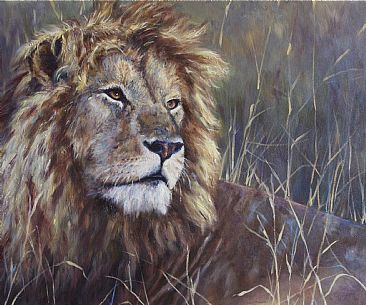Royal Repose - Caesar - male lion on the Masaai Mara by Michelle McCune