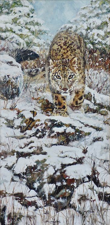 Snow Patrol - Snow Leopard by Michelle McCune
