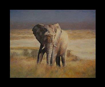 The Patriarch - Bull Elephant in Etosha National Park by Michelle McCune