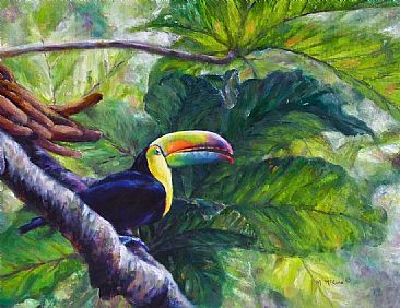 Toucan of the Ticos - Toucan in the canopy by Michelle McCune