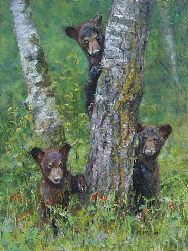 Where's Goldilocks - Black bear cubs by Michelle McCune