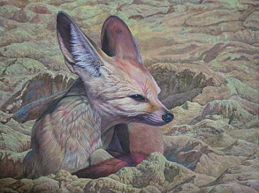 Fennec fox - Vulpes zerda by Ji Qiu