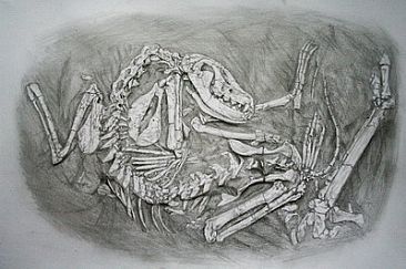 Hyaena fossil - Prehistoric Hyaena by Ji Qiu
