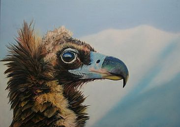The ruler of the mountain - Cinereous Vulture (Aegypius monachus)  by Ji Qiu
