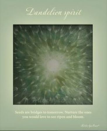 In tune with nature cards - dandelion - reflection/meditation/inspiration cards by Hilde_Aga Brun