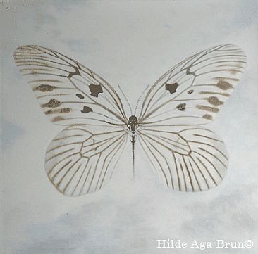 butterfly -  by Hilde_Aga Brun