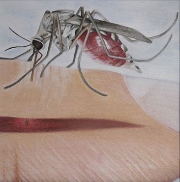 mosquito mother - life providers by Hilde_Aga Brun