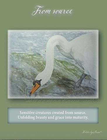 in tune with nature swan  - reflection/meditation/inspiration cards by Hilde_Aga Brun