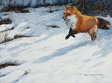Fox Fire - Fox  by Suzie Seerey-Lester