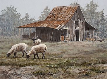 Grazing at the Old Barn - Old barn and sheep by Suzie Seerey-Lester