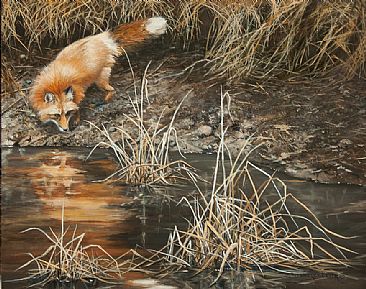 Hidden Prey - Fox by Suzie Seerey-Lester