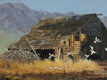 Morning Flight - Doves and old barn by Suzie Seerey-Lester