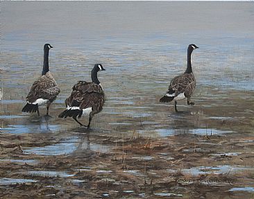Shore Patrol - Canada Geese by Suzie Seerey-Lester