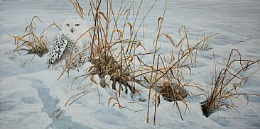 Snowy Sentinel - Snowy Owl by Suzie Seerey-Lester